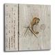 3dRose Beautiful Seepferdchen, Sand Dollar, und Seestern auf Alter Holz 25,4 cm (DPP 182665 _ 1), 10 x 10 Wanduhr