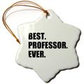 3dRose ORN 185014 _ 1 Best Professor Ever, Geschenk für inspirierenden College universitätsdozenten Schneeflocke Porzellan Ornament, 7,6 cm