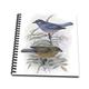 3dRose Vintage blau und Pfirsich Birds-Memory Buch 12 Zoll (DB 202341 _ 2), 30,5 x 30,5 cm