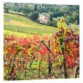 3dRose Farm House und Vineyard in Italien. – Wanduhr, 15 von 15 Zoll (DPP 207912 _ 3)