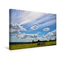 Calvendo Premium Textil-Leinwand 45 cm x 30 cm Quer, Wolken Fliegen | Wandbild, Bild auf Keilrahmen, Fertigbild auf Echter Leinwand, Leinwanddruck: Wolken Fliegen überall Natur Natur