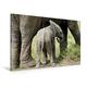 Calvendo Premium Textil-Leinwand 120 cm x 80 cm Quer, Kleiner Elefant | Wandbild, Bild auf Keilrahmen, Fertigbild auf Echter Leinwand, Leinwanddruck: in der Masai Mara.Kenia Tiere Tiere