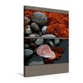 Calvendo Premium Textil-Leinwand 50 cm x 75 cm hoch, Steine und Muscheln am Strand | Wandbild, Bild auf Keilrahmen, Fertigbild auf Echter Leinwand. Farbtupferl der Natur Natur Natur