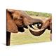Calvendo Premium Textil-Leinwand 75 cm x 50 cm Quer, Begrüßung zweier Elefanten | Wandbild, Bild auf Keilrahmen, Fertigbild auf Echter Leinwand, Leinwanddruck: Kalender Elefanten Afrikas Tiere Tiere
