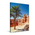 Calvendo Premium Textil-Leinwand 50 cm x 75 cm hoch, Bryce Canyon Wanderpfad durch die Felsformationen | Wandbild, Bild auf Keilrahmen, Fertigbild auf Echter Faszinierende Landschaft Natur Natur