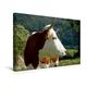 Calvendo Premium Textil-Leinwand 45 cm x 30 cm Quer, Schöne Hinterwälder Kuh im Portrait | Wandbild, Bild auf Keilrahmen, Fertigbild auf Echter Leinwand, Leinwanddruck: Kühe Natur Natur