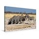 Premium Textil-Leinwand 75 cm x 50 cm quer, Burchell Zebras an einem Wasserloch im Etosha National Park | Wandbild, Bild auf Keilrahmen, Fertigbild auf echter Leinwand, Leinwanddruck (CALVENDO Tiere);CALVENDO Tiere