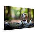 Calvendo Premium Textil-Leinwand 90 cm x 60 cm Quer, Beagle-Welpe im Wald | Wandbild, Bild auf Keilrahmen, Fertigbild auf Echter Leinwand, Leinwanddruck Tiere Tiere