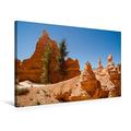 Calvendo Premium Textil-Leinwand 75 cm x 50 cm Quer, Bryce Canyon Wunderschöner Wanderweg | Wandbild, Bild auf Keilrahmen, Fertigbild auf Echter Leinwand. Felsformationen Natur Natur