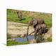 Calvendo Premium Textil-Leinwand 120 cm x 80 cm Quer Elefanten am Wasserloch in Kenia | Wandbild, Bild auf Keilrahmen, Fertigbild auf Echter Leinwand, Leinwanddruck