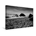 Calvendo Premium Textil-Leinwand 45 cm x 30 cm Quer, Muscheln am Strand (Rügen) | Wandbild, Bild auf Keilrahmen, Fertigbild auf Echter Leinwand, Leinwanddruck Natur Natur