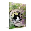Calvendo Premium Textil-Leinwand 50 cm x 75 cm hoch, Neugierige Katze beobachtet Schmetterling | Wandbild, Bild auf Keilrahmen, Fertigbild auf Echter Leinwand. Aurorafalter Schmetterling Tiere Tiere