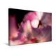 Calvendo Premium Textil-Leinwand 45 cm x 30 cm Quer, Rhododendron 'Lem's Monarch' | Wandbild, Bild auf Keilrahmen, Fertigbild auf Echter Leinwand, Leinwanddruck Natur Natur