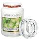 Yankee Candle Linden Tree Glaskerze, weiß, groß