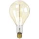 LAES 984743 LED Standard Vintage E40, 100 W, 160 x 320 mm