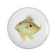 Jersey Pottery Seaflower groß Runde Servierplatte, – John Dory, weiß