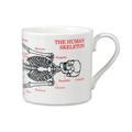 McLaggan Smith Gs72 Fine Bone China, Tee Tasse, Kaffeebecher, lilanen