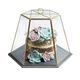 KitchenCraft artterrarium Servieren Dome, brass-effect