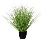 Highland Dunes Snake Plant Grass in Pot Plastic | 26.77 H x 5.7 W x 5.7 D in | Wayfair C67C23BA8EC64479ABB18068B4371452