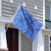 ANLEY Solid Color 2-Sided Polyester 36 x 60 in. House Flag in Blue | 36 H x 60 W in | Wayfair A.Flag.Sp.Blue