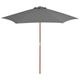 vidaXL Parasol d'extérieur avec mât en bois 270 cm Anthracite