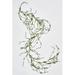 Gracie Oaks 5' Heart & Bead Garland | 60 H x 1 W x 12 D in | Wayfair 4B845DAAA1BE4F8094DB37BB8EB69F3B