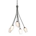 Hubbardton Forge Flora 23 Inch 6 Light Chandelier - 103043-1020