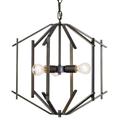 Varaluz Offset 18 Inch Cage Pendant - 611610