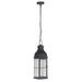 Craftmade Vincent 22 Inch Tall 1 Light LED Outdoor Hanging Lantern - ZA1811-MN-LED