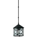 Currey and Company Ripley 18 Inch Tall 1 Light Outdoor Hanging Lantern - 9500-0007