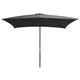 vidaXL Parasol d'extérieur avec mât en bois 200 x 300 cm Anthracite