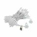 The Holiday Aisle® 70 Light String Lighting in White | 3 H x 6 W x 8 D in | Wayfair DF9AC2D5A56D464DB8D98A017F4A7E25