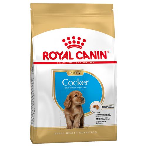 2 x 3kg Puppy Cocker Royal Canin Breed Hundefutter trocken