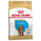 2 x 3kg Puppy Cocker Royal Canin Breed Hundefutter trocken