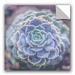 Bungalow Rose Succulent Cactus Flowe Removable Wall Decal Vinyl in Green | 24 H x 24 W in | Wayfair C77C3950B6C24A7BA6A7505D19A10CD6