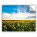 August Grove® Sunflower Field Removable Wall Decal Vinyl in Yellow | 18 H x 24 W in | Wayfair B201EB1DC6404BF8B6C86789DBEE0BB7