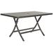 Dilettie Rect Folding Table in Brown - Safavieh PAT2003A