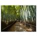 Winston Porter 'Wide Pathway in Bamboo Forest' Photographic Print on Wrapped Canvas in Green | 8 H x 12 W x 1 D in | Wayfair