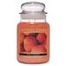 A Cheerful Candle LLC Juicy Peach Scented Jar Candle Paraffin in Orange | 7 H x 4 W x 4 D in | Wayfair CC110