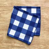 August Grove® Tejada Gingham Indoor/Outdoor 18" Napkin Polyester in Blue/Gray/White | 18 W x 18 D in | Wayfair 416B03E8C8414D308336EBE2890A1F50