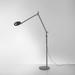 Artemide Naoto Fukasawa Demetra 61 Inch Reading Lamp - DEM1201