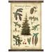Millwood Pines Cotton Spruce Tapestry w/ Hanging Accessories Included Cotton in White | 36 H x 24 W in | Wayfair F5C0A68F585F4664A14A852DFEC3171C