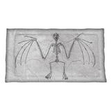 Winston Porter Enrik Vintage Bat Skeleton Sham Polyester | 23 H x 31 W x 1 D in | Wayfair 796B7E84A11542A98231127A7221AAF3