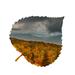 Loon Peak® Mountain Forest Aspen Leaf Wall Décor Metal in Gray/Orange | 6 H x 7 W x 1 D in | Wayfair 3457565DD1584203ADE80504D7A6C58E