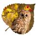 Loon Peak® Owl Berries Aspen Leaf Wall Décor Metal in Gray/Yellow | 22 H x 27 W x 1 D in | Wayfair B308CBB823A84BF88D48E5D48485B416