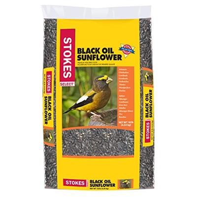Stokes Select STK5434-10 Premium Black Oil Sunflower (10 lbs)