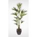 Bayou Breeze Kentia Palm Tree in Pot Silk/Plastic/Metal | 92 H x 42 W x 42 D in | Wayfair DF5A6D690AAC4A22BBDEC9B08BCCF5CC