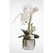 World Menagerie Real Touch Orchid w/ Seashell & Succulents Floral Arrangements & Centerpieces in Pot Plastic | 25 H x 11 W x 8 D in | Wayfair