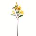 Gracie Oaks 28" Artificial Magnolia Stem Plastic in Orange/Yellow | 28 H x 6 W x 6 D in | Wayfair DBCE45874FF54EAEAD7DFAD2DA0D5135