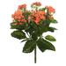 August Grove® Artificial Kalanchoe Bush Fabric in Orange | 17.25 H x 8 W x 17.25 D in | Wayfair 481C32F14178428B9C8BD061AA0265F5